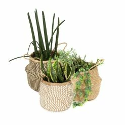 Grosses soldes 😍 Compactor Lot 3 x Panier de rangement 🛒 -Métal Soldes 3370910116045 7