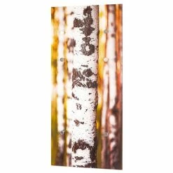 De gros 🎉 Paris prix Patère Murale en Verre "Bouleau" 90cm Marron 🎁