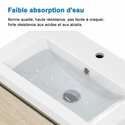 De gros ✨ AICA Sanitaire meuble de salle de bain avec deux tiroirs chêne clair, 60 x 38,5 x 45 cm ⭐ -Métal Soldes 4764075264311 6